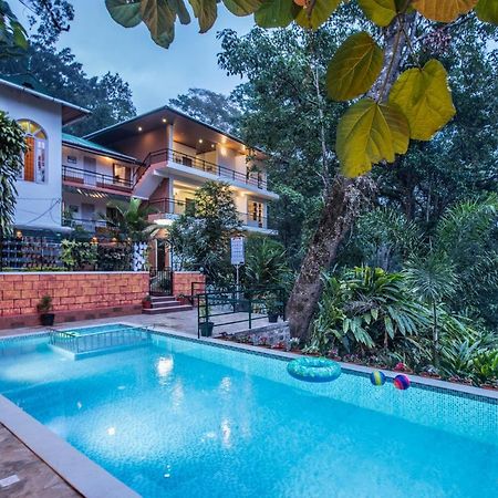 Spice Jungle Resort Munnar Εξωτερικό φωτογραφία